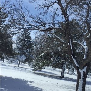 Meet your Posher, Jacky